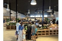 【豊田発】*日帰り昼食付*『山梨シャインマスカット狩り食べ放題とハンバーグランチ』3
